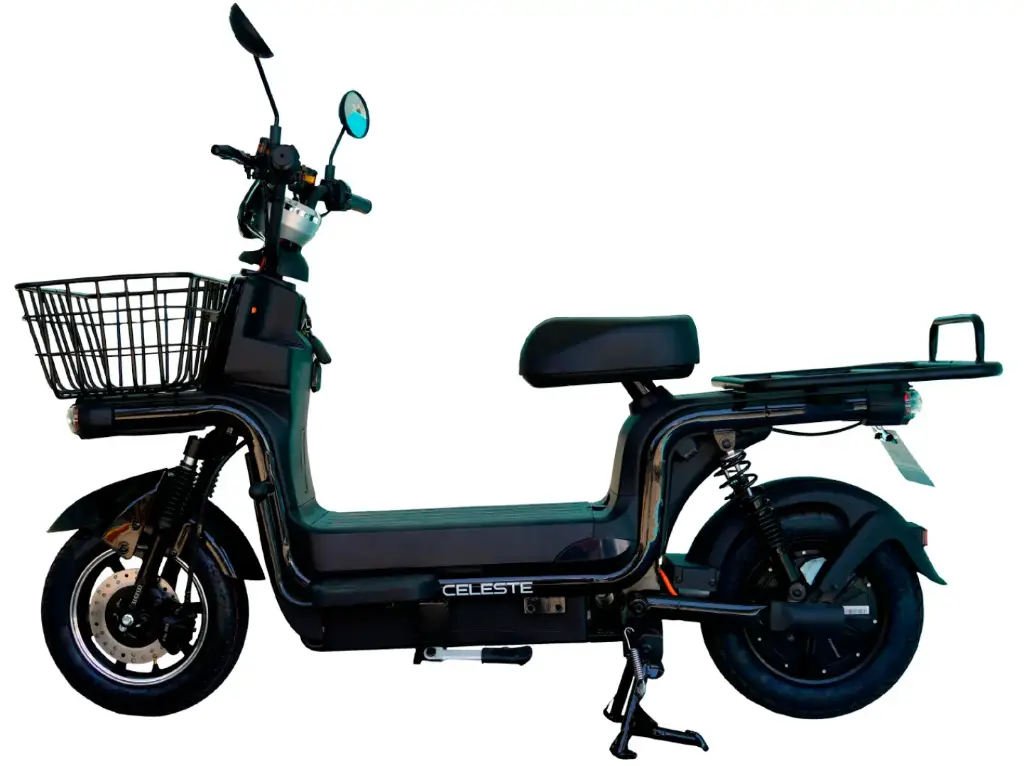 MOTOCICLETA RIKY T12